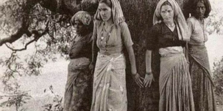 ইকো-ফেমিনিজম – পরিবেশ সুরক্ষায় মেয়েরা