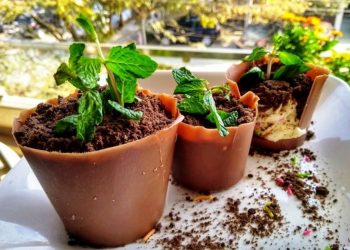 রসনাতৃপ্তিতে চকলেট, সমিতা হালদার দিলেন ডেজার্টের অভিনব রেসিপি!