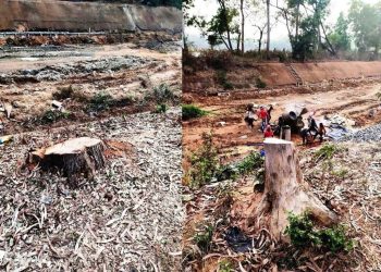 সোনাঝুরির রাস্তায় খুন অজস্র গাছ, শান্তিনিকেতন হচ্ছে কলকাতার মিনি সংস্করণ