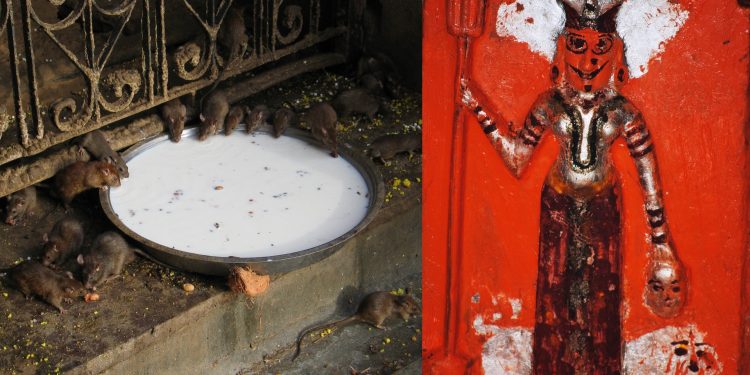 বিশ্বব্যাপী মহামারী শুরুর আগেই তার নামের সঙ্গে পরিচিত ভারতবাসী! রাজস্থানে রয়েছে আস্ত এক মন্দিরও!