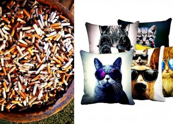 ছিল পোড়া সিগারেট, হয়ে গেল বালিশ! আশ্চর্য আবিষ্কার যুবকের