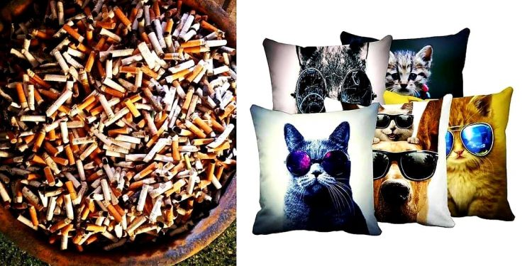 ছিল পোড়া সিগারেট, হয়ে গেল বালিশ! আশ্চর্য আবিষ্কার যুবকের