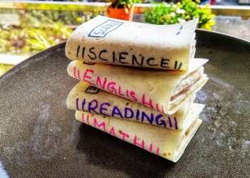 স্যান্ডউইচ নাকি বইয়ের ক্ষুদ্র সংস্করণ? শমিতা হালদারের রেসিপিতে উত্তর মিলল সেই রহস্যেরই!