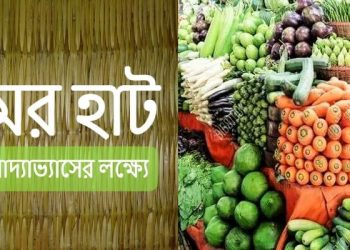 রাসায়নিক-যুক্ত ভেজাল খাদ্য থেকে মুক্তি! নালিকুলের ‘গ্রামের হাট’ প্রাকৃতিক চাষে বিষহীন ফসলের আঁতুরঘর!