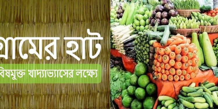 রাসায়নিক-যুক্ত ভেজাল খাদ্য থেকে মুক্তি! নালিকুলের ‘গ্রামের হাট’ প্রাকৃতিক চাষে বিষহীন ফসলের আঁতুরঘর!