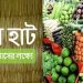 রাসায়নিক-যুক্ত ভেজাল খাদ্য থেকে মুক্তি! নালিকুলের ‘গ্রামের হাট’ প্রাকৃতিক চাষে বিষহীন ফসলের আঁতুরঘর!