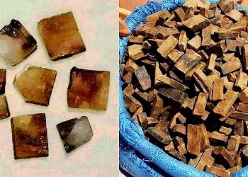 চায়ের টেবিলে আজও ঝড় তোলে বাংলাদেশের মাটির তৈরি এই মুখরোচক বিস্কুট!