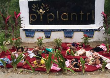 ১১১টি গাছের কোলে বড় হয় গ্রামের প্রতিটি কন্যা শিশু, ঐতিহ্যে অনন্যা রাজস্থানের পিপলান্ত্রি!