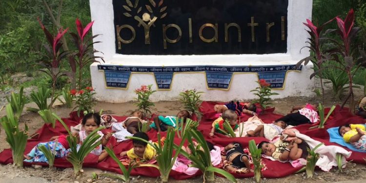 ১১১টি গাছের কোলে বড় হয় গ্রামের প্রতিটি কন্যা শিশু, ঐতিহ্যে অনন্যা রাজস্থানের পিপলান্ত্রি!