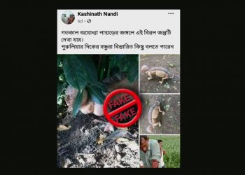 মানুষরূপী জন্তু! পুরুলিয়ার অযোধ্যা পাহাড়ের অদ্ভুত দর্শন প্রাণীর অস্তিত্ব কি আদৌ সত্যি?