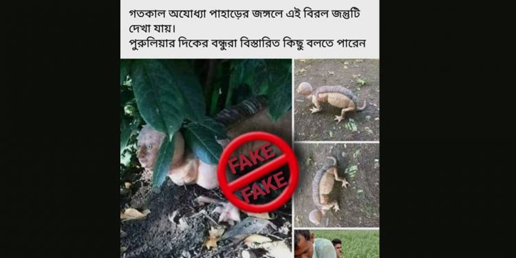 মানুষরূপী জন্তু! পুরুলিয়ার অযোধ্যা পাহাড়ের অদ্ভুত দর্শন প্রাণীর অস্তিত্ব কি আদৌ সত্যি?