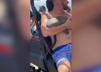 শরীর কামড়ে ধরেছে হাঙর, সেই অবস্থাতে পোষ্যের মতোই তাকে কোলে তুলে আনলেন যুবক!