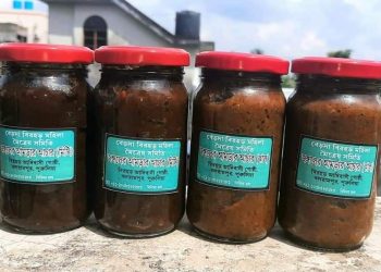 আমি থেকে ‘আমড়ার’ লড়াইয়ে বিরহড়রা! আচার বানিয়েই  স্বনির্ভর হতে চাইছে এই আদিম জনজাতি