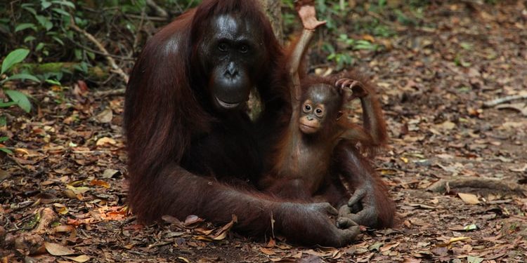 গর্ভধারণ পরীক্ষার ফল ‘নেগেটিভ’! তারপরও সন্তানের ‘মা’ হলেন লিয়া