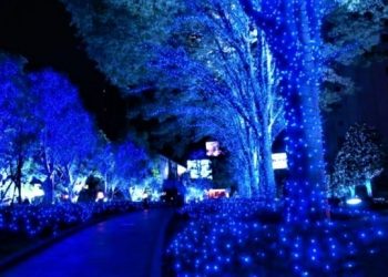 রবীন্দ্রসঙ্গীত-ভাটিয়ালি থেকে পিঠেপুলি! বাঙালিয়ানায় মুড়ে বড়দিন উদযাপনে প্রস্তুত বাংলাদেশ!