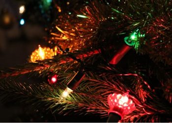 কীভাবে জন্ম নিল বড়দিনের অন্যতম আকর্ষণ বৈদ্যুতিক ক্রিসমাস ট্রি?