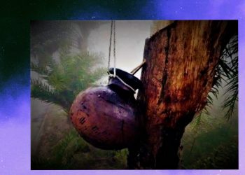 বাঙালির হেঁশেলে গুড়ের পদচারণা! গাছিদের খেজুর রস সংগ্রহ চলছে যুদ্ধকালীন তৎপরতায়