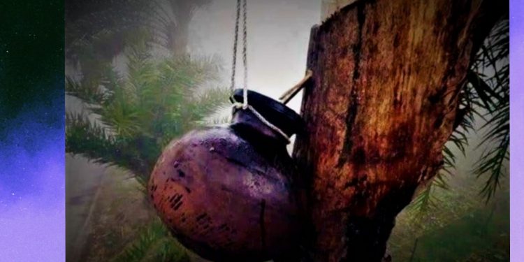 বাঙালির হেঁশেলে গুড়ের পদচারণা! গাছিদের খেজুর রস সংগ্রহ চলছে যুদ্ধকালীন তৎপরতায়