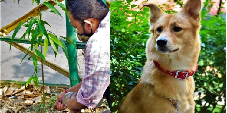 পোষ্য থুড়ি নিজের অবলা মেয়ের জন্মদিন গাছ পুঁতে পালন করলেন প্রযোজক!