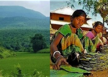 বনাধিকার আইনকে বুড়ো আঙুল দেখিয়ে আদিবাসী মহিলাদের জঙ্গলে আটকে রাখার অভিযোগ!