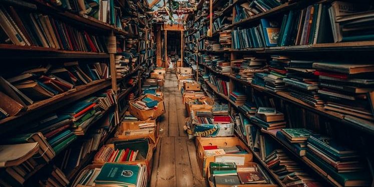 বইপ্রেমীদের উৎসাহের অক্সিজেন জোগাতে কলকাতায় গঙ্গার বুকে চালু ভাসমান লাইব্রেরী!