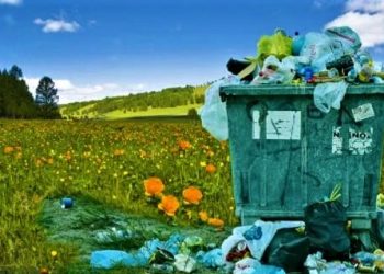 আবর্জনা ঠিক জায়গায় ফেলতে পারলেই উপহার, জিরো ওয়েস্টের তালিকায় শহরটি প্রথম স্থানে