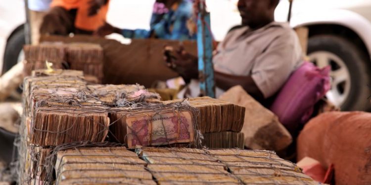 এখানে কেজি দরে বিক্রি হয় টাকা, যাবেন নাকি কিনতে?