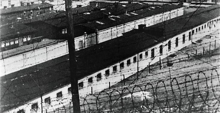 স্ত্রী’দের জোটবদ্ধ আন্দোলনে বিপাকে পড়ল নাৎসীরা, কিছু বন্দীদের জুটল ছাড়পত্র!