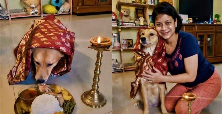 আদর যত্নে নেই খামতি, মেয়ে স্নেহেই গর্ভবতী পোষ্যের সাধ ভক্ষণ অনুষ্ঠান!