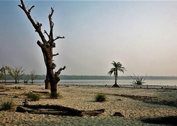 একযুগ আগে ঠিক আজকের দিনেই এসেছিল আইলা, ক্ষতচিহ্ন মোছেনি আজও!