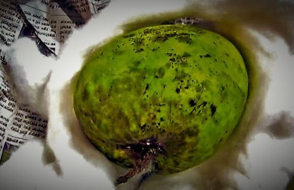 দিল্লীর সুলতানদের ছিল কোহিনুর, বাংলার নবাব রাজ্যের রয়েছে ‘কোহিতুর’