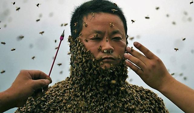 সাড়ে চার লাখ মৌমাছি শরীরে নিয়ে তিনি ঘুরে বেড়ান পেটের দায়ে!