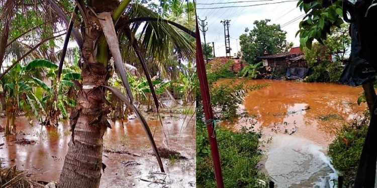 কারখানার মাত্রাতিরিক্ত দূষণ কেড়েছে ঘুম, ক্ষোভে ফুঁসছেন কুলাইয়ের গ্রামবাসীরা