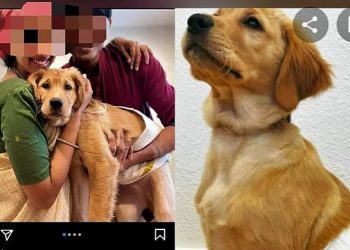 পোষ্যের পৈতে! ভারতীয় দম্পতির সৌজন্যে বিরল ঘটনার সাক্ষী নেট দুনিয়া