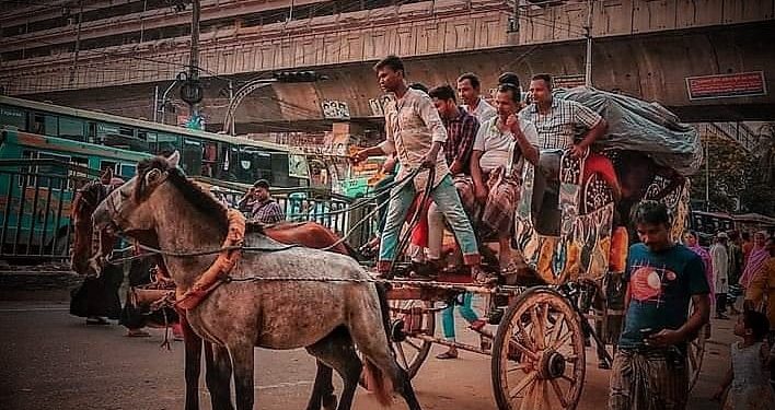প্রয়োজন ফুরোলেও হারায়নি অস্তিত্ব! ঢাকার রাজপথে আজও দাপাচ্ছে ‘টমটম’