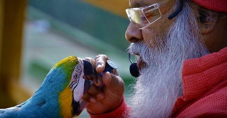 মহীশূরের সবুজে ঘেরা সুখের বন! যেন নানা রকম পাখিদের পাঠশালা