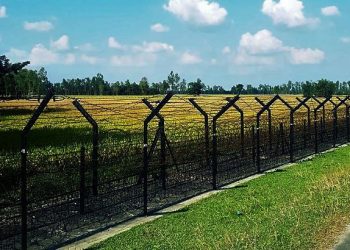 পাসওয়ার্ড বিড়ম্বনা! স্মৃতির সাম্রাজ্যে আজও অমলিন ভারত-পাক সীমান্তের দিনগুলি