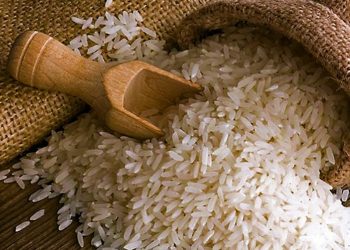 বাংলার বাসমতি তুলাইপাঞ্জি, খিঁচুড়ি থেকে পোলাও সবেতেই একাই একশো!