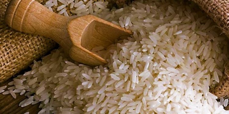 বাংলার বাসমতি তুলাইপাঞ্জি, খিঁচুড়ি থেকে পোলাও সবেতেই একাই একশো!