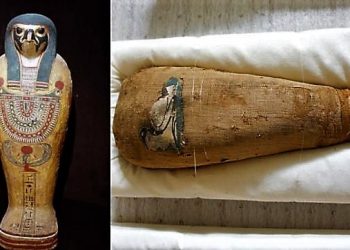 কফিনে বন্ধ ফ্যারাওকে সঙ্গ দেয় পাখির মমি! মিশর-ইতিহাসের অজানা অধ্যায়