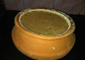 স্বাদের আসরে মনকাড়া নবদ্বীপের লাল দই, আদরে-আপ্যায়নে আজও বিশ্ব সেরা!