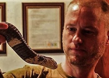 কেউটে থেকে ব্ল্যাক মাম্বা! ২০০ টির বেশি সাপের বিষ শরীরে ঢুকিয়েও জীবিত সে