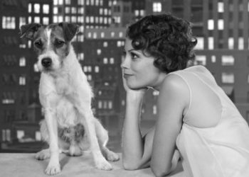 অস্কার মনোনয়ন তালিকায় স্থান দখল করেছিল এক ফরাসি কুকুর!