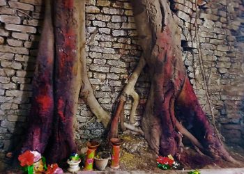 Daily News Reel - Dakat Kali Worshipped at Barasat Since 500 years