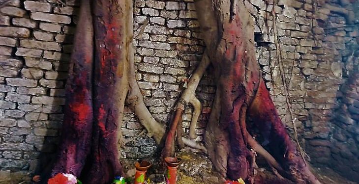 Daily News Reel - Dakat Kali Worshipped at Barasat Since 500 years