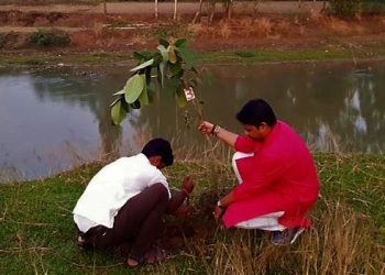 বিশ্বযুদ্ধ রুখতে পারে বট-পাকুড়! কুলিকের তীরে প্রমাণ রাখছেন বাঙালি অধ্যাপক