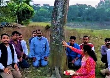 Daily News Reel - Raiganj Professor Celebrates Bhaifnota with Plants
