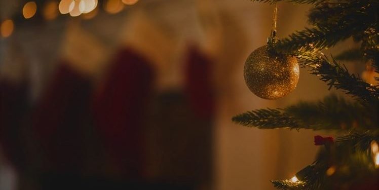 Daily News Reel - Chrismas Celebration of Bangladesh