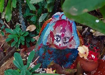 Daily News Reel - Folk Tradition of Bengal Alive at Bara Village