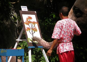 Daily News Reel - Atrocities Hidden Behind Drawing of Elephant